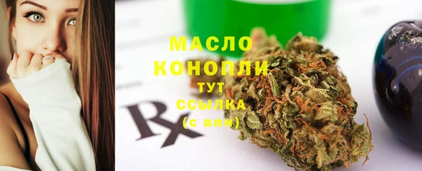 эйфоретик Вяземский