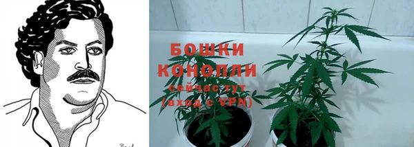эйфоретик Вяземский