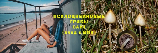 Альфа ПВП Вязьма