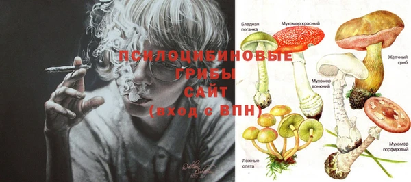 эйфоретик Вяземский
