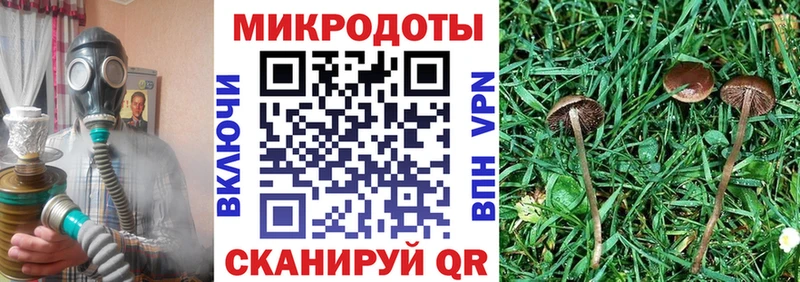 Псилоцибиновые грибы прущие грибы  где можно купить наркотик  Окуловка 